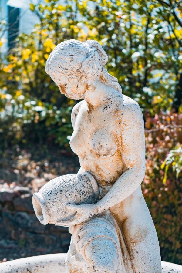 Le Mas Des Amandiers Saint-Paul-de-Vence Eksteriør bilde